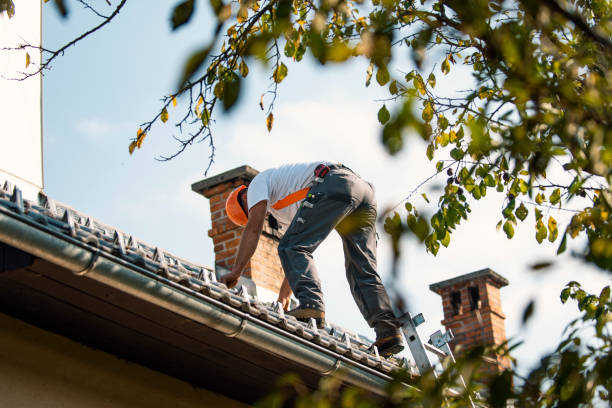 Best Roof Waterproofing Services  in Porcupine, SD